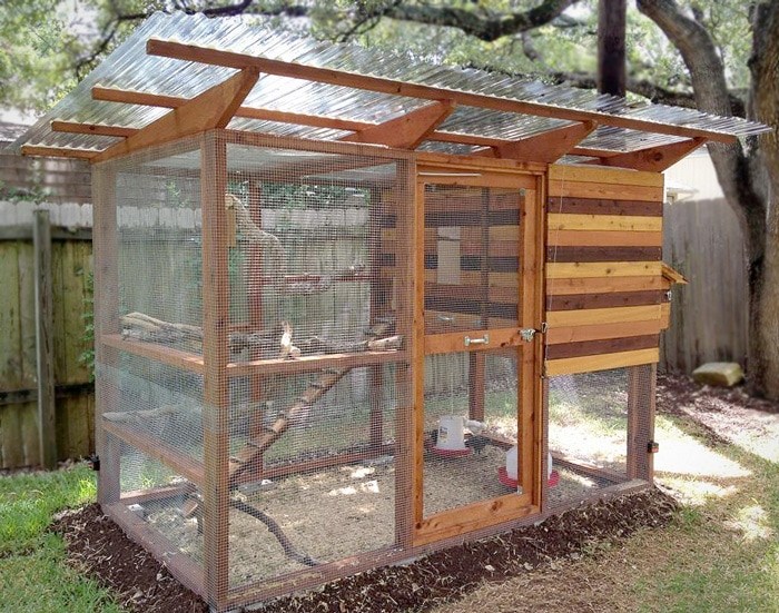 Backyard chicken coop and run